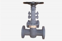 parallel seat gate valves