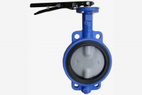 elastomer butterfly valves