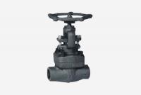 forged globe valves